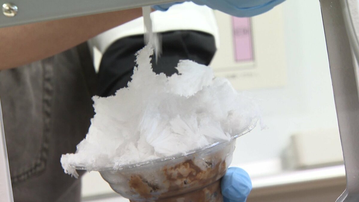 寒い日だからこそ「かき氷」 全国の有名店が集結…熱狂的ファン