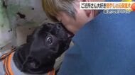 顔をペロペロ…伝われ、この愛！　2度捨てられた元保護犬のフレンチブルドッグ　大好きな車いすの女性宅に通い詰め　福井　　　