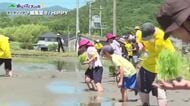 子どもたちの挑戦・冒険・発見を応援する「わんぱく大作戦」今回は広島県東広島市で“田植え”に挑戦!!