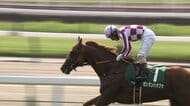 【小倉記念・GⅢ】ゼンダンハヤブサが重賞初V！酒井学騎手16年ぶりの小倉記念制覇