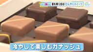 スイーツを食べて涼を感じる！　チョコレートからお饅頭まで　この夏注目のひんやりスイーツとは！？　広島
