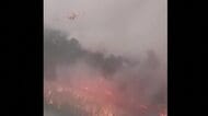 フランス山火事　ワイン名産地・ボルドー市街地15kmに迫る　マクロン大統領「第2次世界大戦以降最悪の事態」