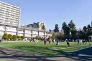 「理科や算数だけを学ぶ授業はない」…インターナショナルスクールの初等教育の授業は一味違った