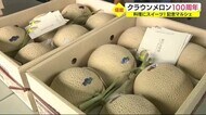 豆腐に包み揚げ…メロン料理とスイーツずらり クラウンメロン100周年マルシェ 静岡・袋井市