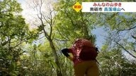 ブナの原生林が広がる「高落場山」新緑を楽しむ山歩き　季節を体で感じられる…日帰り登山の魅力を発見【富山発】