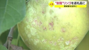 霜に耐えたリンゴを返礼品に ふるさと納税で早くも人気に 山形県天童市