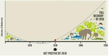 SVPインサイト 経営の新常識『生物多様性』