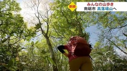 ブナの原生林が広がる「高落場山」新緑を楽しむ山歩き　季節を体で感じられる…日帰り登山の魅力を発見【富山発】