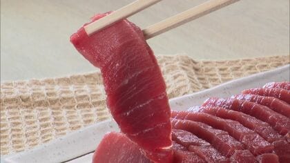 【函館のマグロ活況は”イワシ大群問題”に関連が？】「年末なのにこれはすごい」函館市の市場でマグロの扱い量増加＿マグロ活況は”イワシの大群押し寄せ問題”に関係している可能性が…〈北海道〉