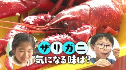見た目はエビ？ゆでた“ザリガニ”の味は…「思ったよりカニ」 小学校で地元の郷土食学ぶ試食授業！新潟