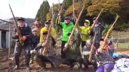 おおい町特産「ジネンジョ」の初掘り　粘り強く大きさや品質上々　猛暑や少雨の影響なし　収穫は12月末まで　福井