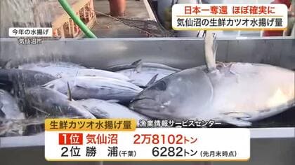 気仙沼市の生鮮カツオ　日本一奪還ほぼ確実　２位の４倍以上の水揚げ量で水揚げ額も１０４億円以上〈宮城〉