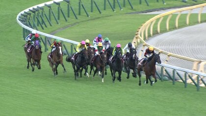 【天皇賞(秋)前哨戦 毎日王冠・G2】今週から東京競馬開幕！　松若風馬騎手がエルトンバローズと再びコンビ―そして、夜は凱旋門賞も！