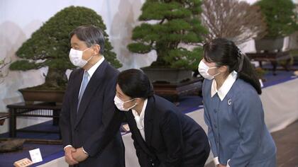 小さな鉢の中の大きな生命力に感心　愛子さま　初めての盆栽展　