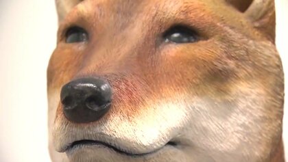 卑弥呼の愛犬？「纏向犬」邪馬台国の“有力候補地”で発見された犬の骨　復元模型が完成　卑弥呼がかわいがったった可能性も