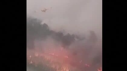 フランス山火事　ワイン名産地・ボルドー市街地15kmに迫る　マクロン大統領「第2次世界大戦以降最悪の事態」