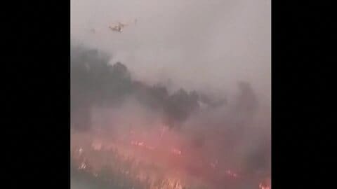 フランス山火事　ワイン名産地・ボルドー市街地15kmに迫る　マクロン大統領「第2次世界大戦以降最悪の事態」