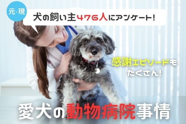 犬のリアルな動物病院事情 利用頻度は 医療ミスやトラブルはある 現 元飼い主476人アンケート