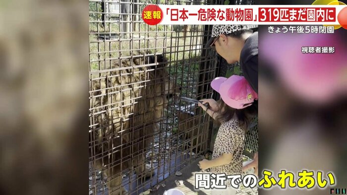 視聴者撮影