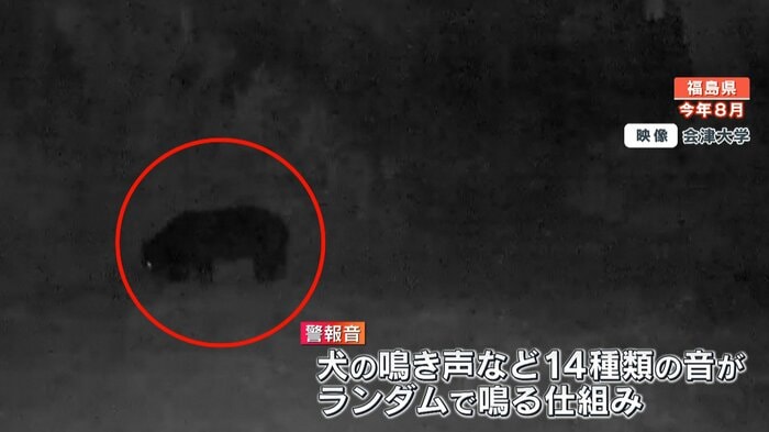 14種類の音がランダムに鳴ります