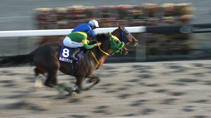 2024年 チャンピオンズカップで2着のウィルソンテソーロ