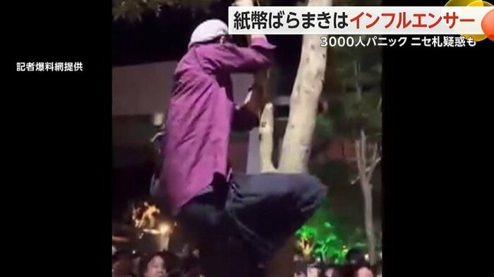 中には木に登って紙幣を取ろうとする人も…
