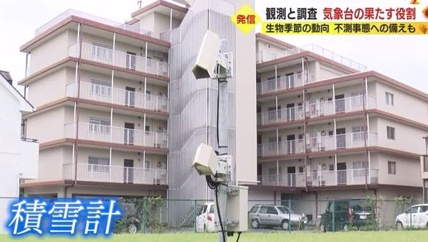 積雪計