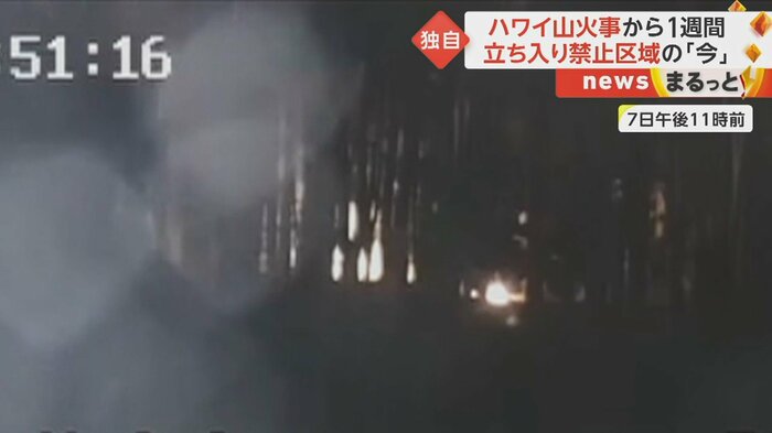 約3分後に監視カメラが復旧。林に火の手があがり始めた。