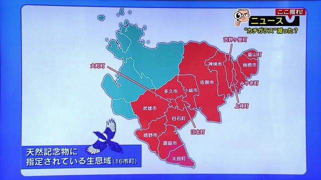 「天然記念物」に指定されているのは、主な生息域である県内16の市や町である自治体