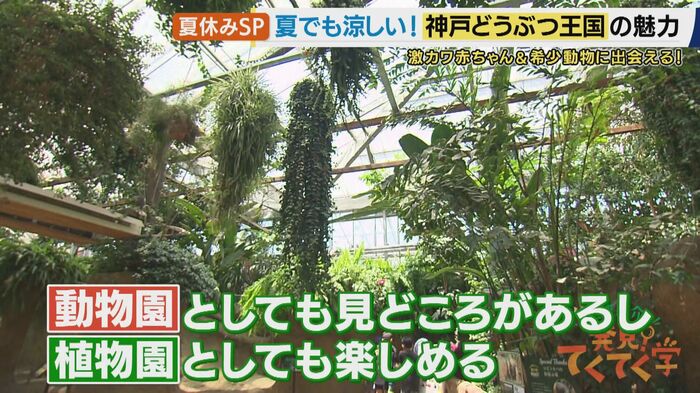 動植物園として楽しめる
