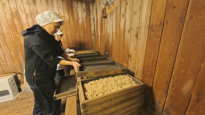 糀づくりを手伝う由美さん