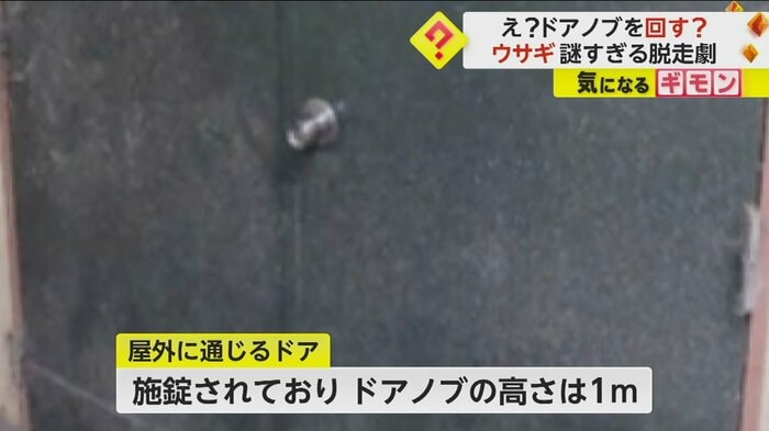 (札幌市円山動物園)