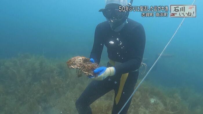 海の豊かさを感じるヨコタ礁
