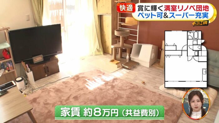 ハラッパ団地の1LDKの部屋