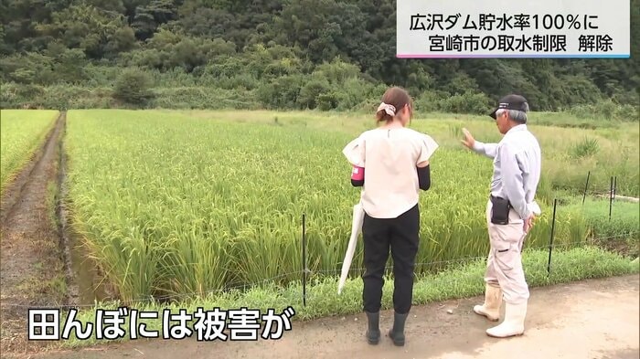 被害を受けている田んぼを案内する脇元さん