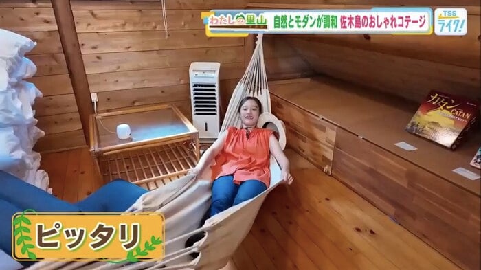 ロフトにはハンモック