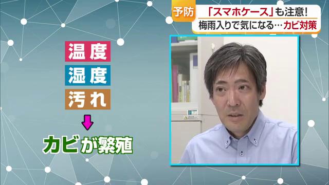 皮脂や食べかすホコリなどがカビの栄養源に
