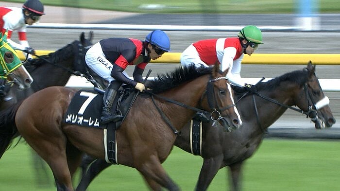 4歳馬メリオーレム