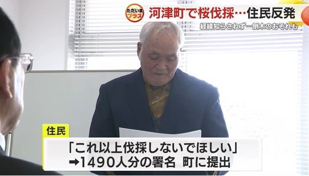 河津桜守人の会・森田光衛 会長