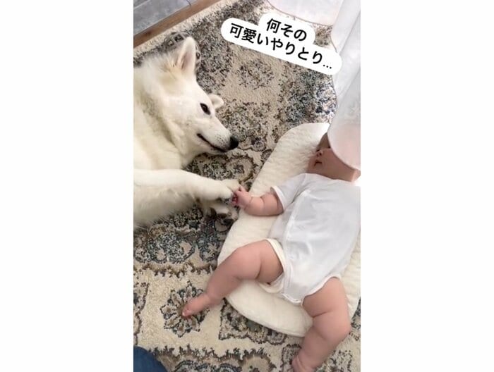 提供:つくしとすずらんさん