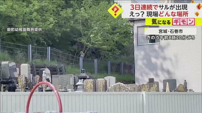 サルが目撃されたのは宮城・石巻市の穀町幼稚園