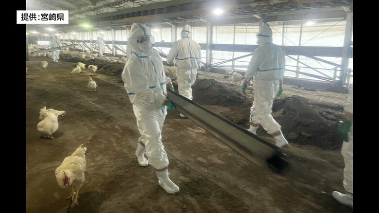 延岡市で発生した高病原性鳥インフルエンザ　鶏の処分・農場消毒など防疫終了｜FNNプライムオンライン