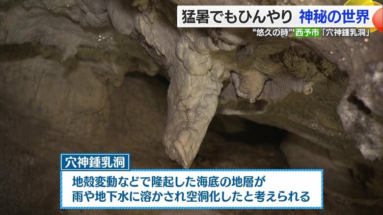 大自然が生み出した「穴神鍾乳洞」　外気温との差は約10度　歴史や生命を感じながら“涼”を楽しむ【愛媛発】｜FNNプライムオンライン