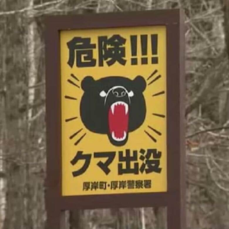 “人襲うヒグマ” 対策進むと期待… 北海道知事も喜び 指定管理鳥獣にクマが追加 国の交付金で捕獲できることに｜FNNプライムオンライン