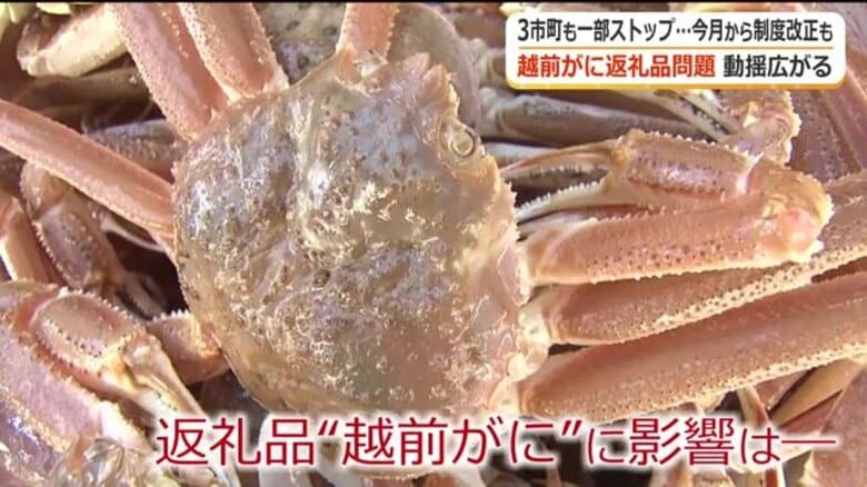 漁解禁控え「越前がに」返礼品の対応に追われる自治体　関係市町がカニ関連の商品を一斉点検　福井市ではキャンセル確認されず｜FNNプライムオンライン