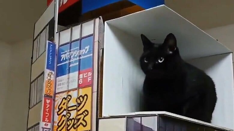 「かなり飛び出てる」新宿の3D巨大猫を“うちの巨大ネコ”で再現…簡単にできる? 作り方を聞いた