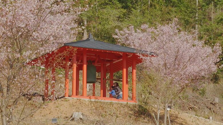 京都の寺に新たな桜の名所を！　住職が裏山に植えた200本の桜　「地域活性化につながる人の流れを」　宝泉寺｜FNNプライムオンライン