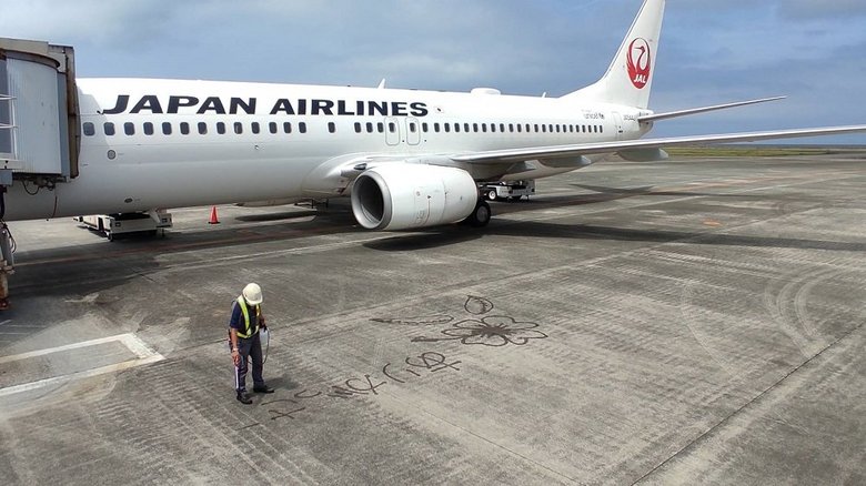 描いている様子(提供:日本航空)