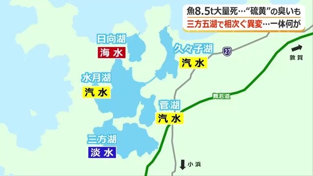 塩分濃度が異なる5つの湖で構想された三方五湖