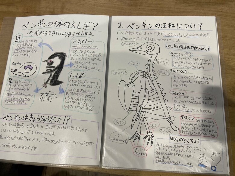 ペンギンについてまとめたレポートも！